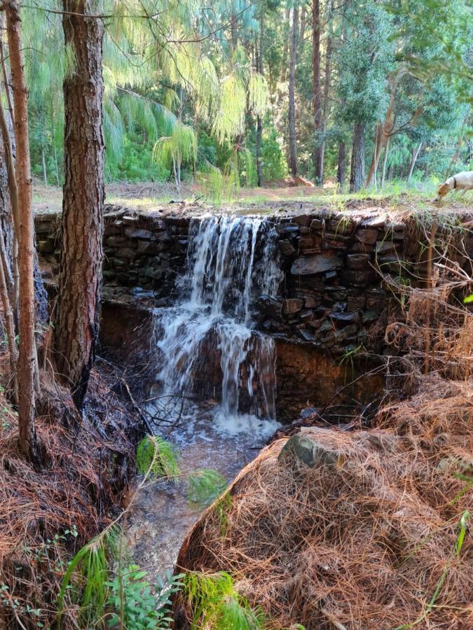 Ukutula Resort Dullstroom Dış mekan fotoğraf